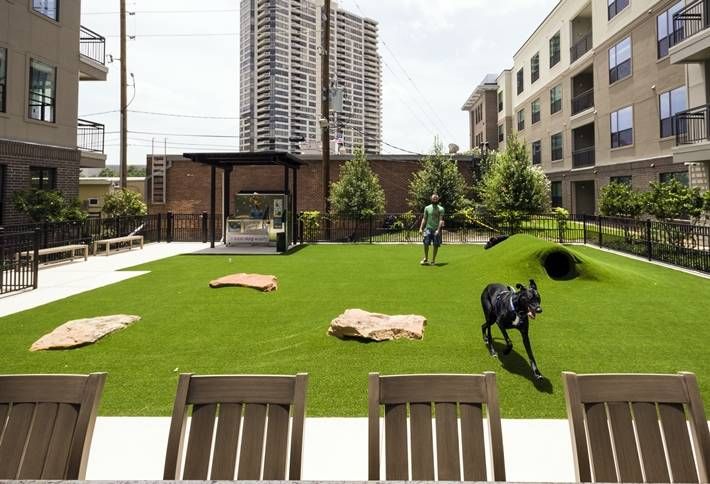 apartment community amenities dog parks