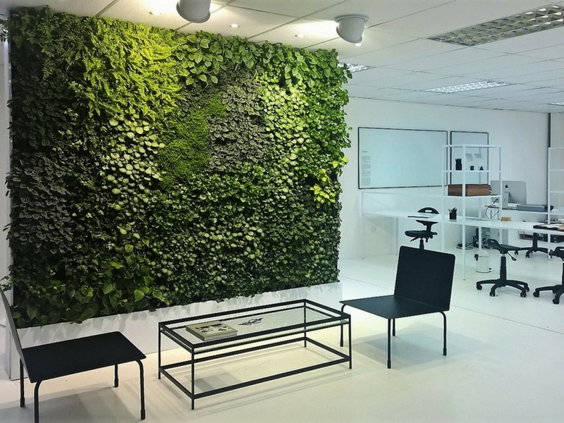 Office Garden Wall That Reduces Noise In Trendy Office