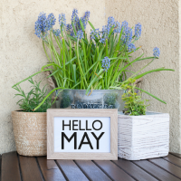 flower pot with a month of May sign