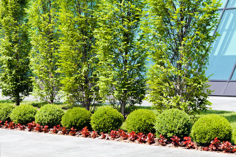 commercial landscaping ideas