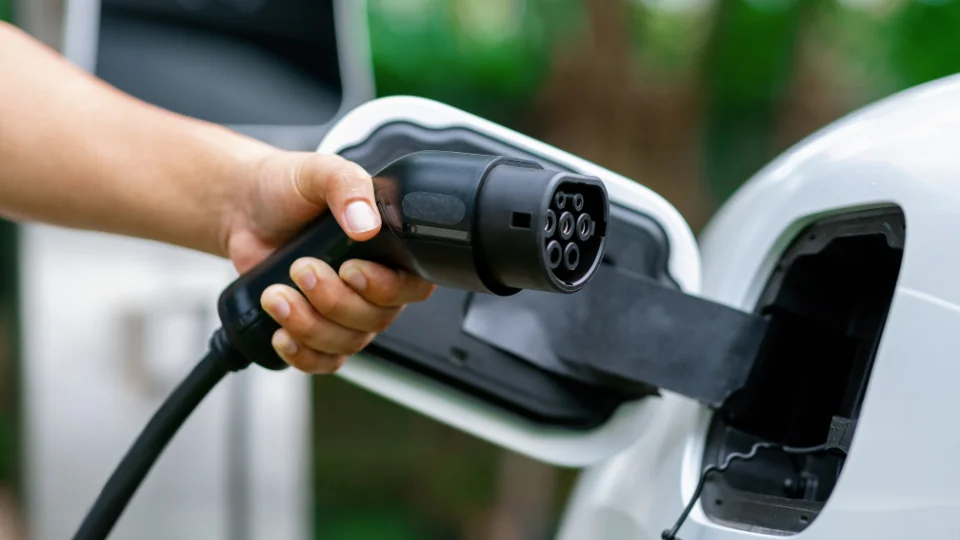 electric vehicle mandate